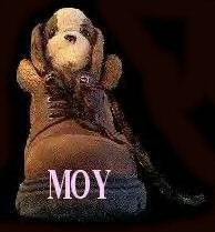 MOY