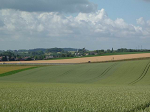 Cliquez ici pour voir l'image (DSCF0067.JPG)
