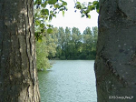 Cliquez ici pour voir l'image (Balastiere2-03.jpg)