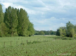 Cliquez ici pour voir l'image (Balastiere2-19.jpg)
