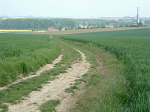 Cliquez ici pour voir l'image (Mai-2004-03.JPG)