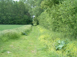 Cliquez ici pour voir l'image (Mai-2004-05.JPG)
