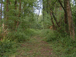 Cliquez ici pour voir l'image (Mai-2004-06.JPG)