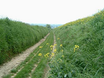 Cliquez ici pour voir l'image (Mai-2004-16.JPG)
