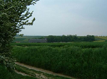 Cliquez ici pour voir l'image (Mai-2004-18.JPG)