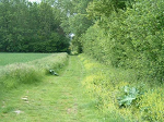 Cliquez ici pour voir l'image (Dscf0022.jpg)