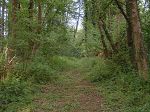 Cliquez ici pour voir l'image (Dscf0023.jpg)