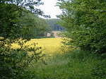 Cliquez ici pour voir l'image (Dscf0037.jpg)