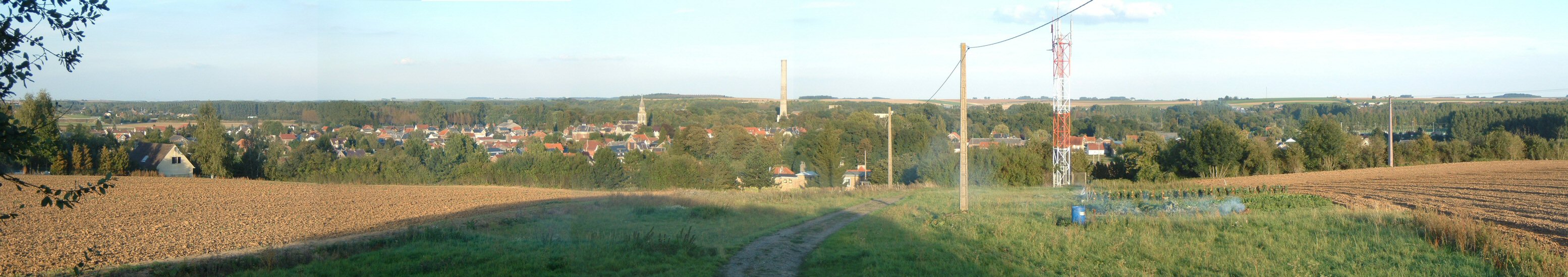 07